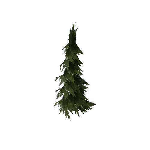 Pine (Type 1) Small 2